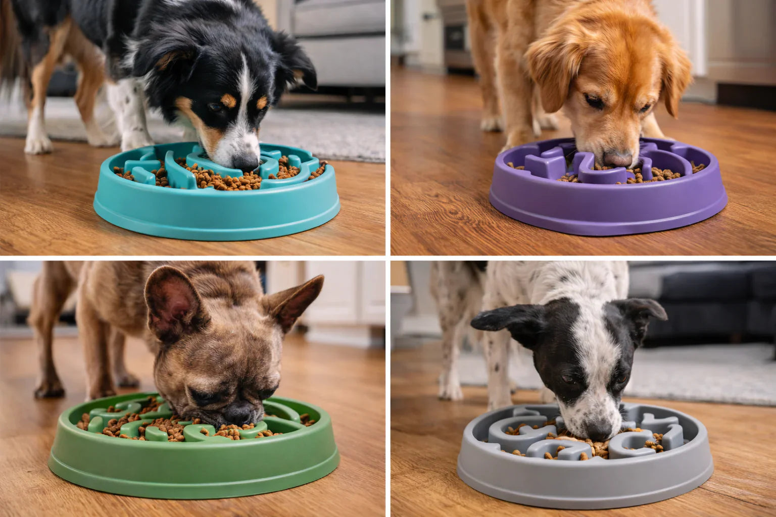 Automatic Pet Feeders: Are They Worth Buying?