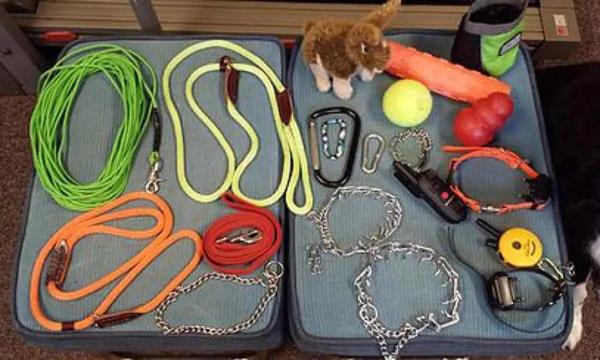 Dog Training Tools That Actually Work