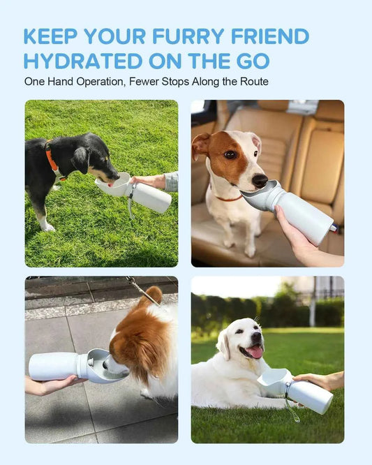 Portable Dog Cat Water Bowl, 550ml Foldable Leak-proof Water Bottle, Dog Travel Water Bottle, Leak Proof Water Dispenser for Dogs, Pet Feeder Bowl
