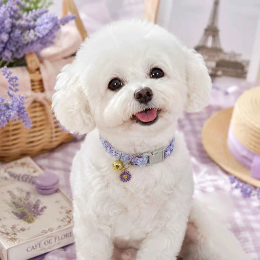 Spring Summer Soft Lace Flower Pet Collar Adjustable Breakaway Buckle Pet Neck Collar With Bell Floral Pendant For Cats Small Dogs 3 Colors Pink White Purple Optional