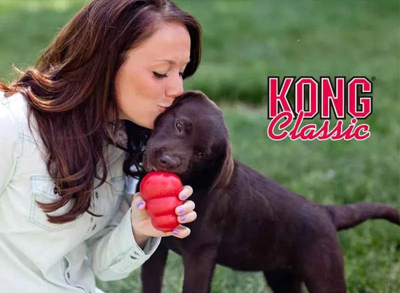 KONG Classic Natural Teething Rubber Dog Chew Toy with Your Choice of Dog Treat Toy XS-XXL
