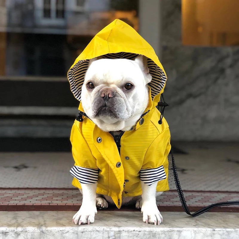 Waterproof Pet Dog Coat for Small Medium Large Dogs Windproof Jacket Dog Raincoat Dog Sport Hoodies Pet Clothes pink yellow