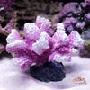 Resin Coral Reef Aquarium Ornaments Fish Tank Decor Resin Coral Home Tank Decor