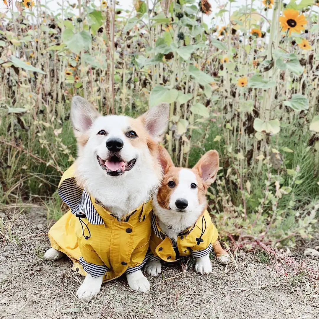Waterproof Pet Dog Coat for Small Medium Large Dogs Windproof Jacket Dog Raincoat Dog Sport Hoodies Pet Clothes pink yellow