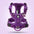 Truelove Front Nylon Dog Harness No Pull Vest Soft Adjustable Safety Harness For Dog Small Large Running Training French Bulldog