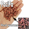 100 or 50 pcs Carp Fishing Food Bait Grass Carp Hook Up Bait Crucian Fishing Bait Lure Formula Insect Particle Boilie Pellets