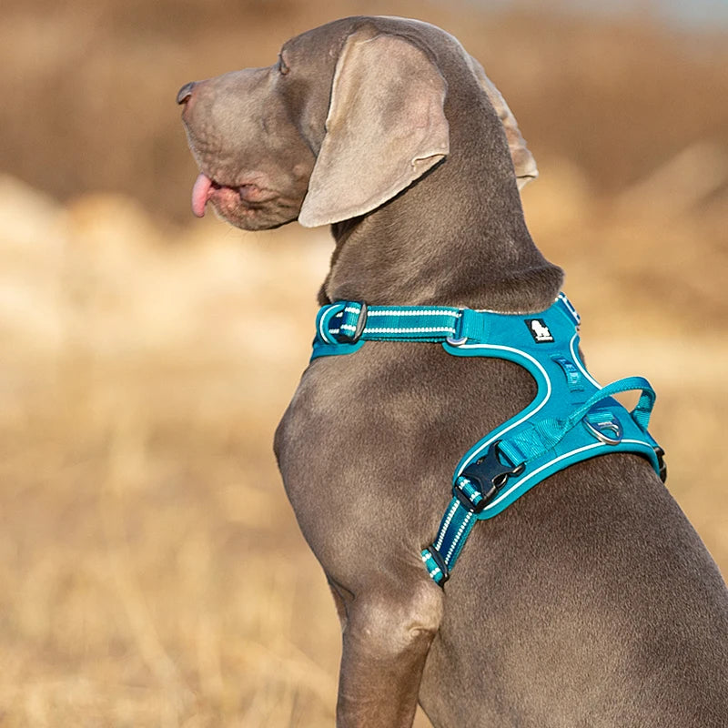 Truelove Front Nylon Dog Harness No Pull Vest Soft Adjustable Safety Harness For Dog Small Large Running Training French Bulldog
