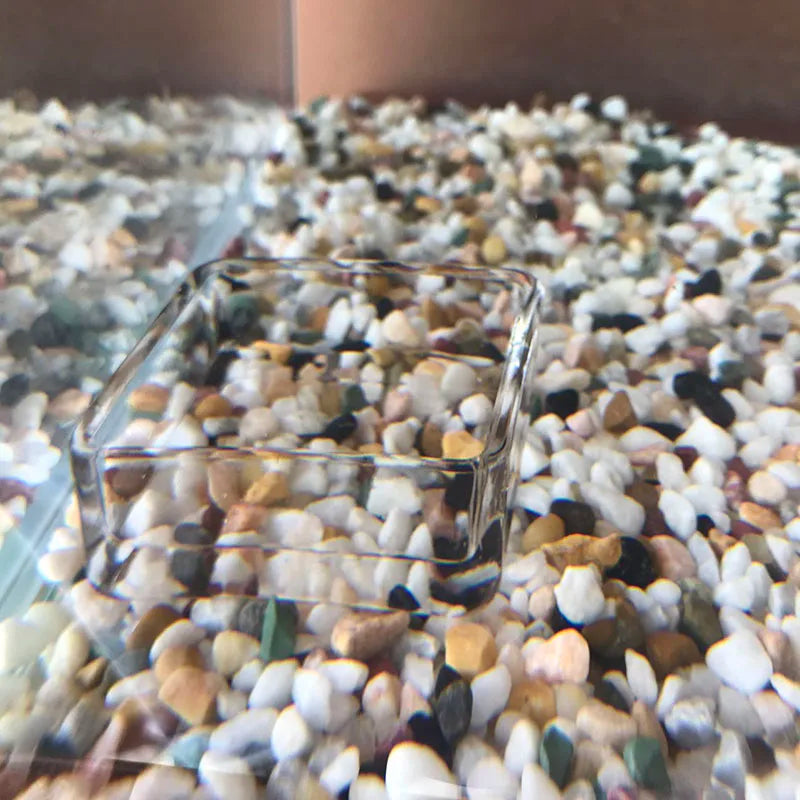 Glass Aquarium Feeder Tube Dish Transparent Fish Tank Shrimp Snail Food Feeder Bowl Aquarium Feeding Accessories Shrimp Feeders