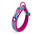 Truelove Embroider Neoprene Pet Dog Collar Nylon Adjustable Dog Collars For Big Small Dogs Running Reflective Chihuahua Bitpulls