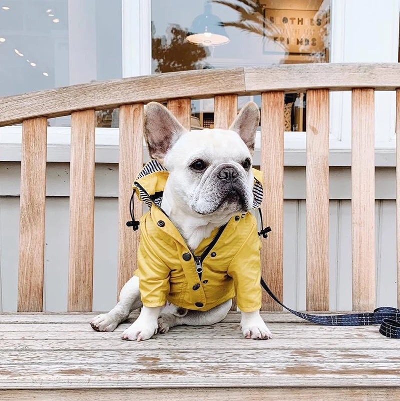 Waterproof Pet Dog Coat for Small Medium Large Dogs Windproof Jacket Dog Raincoat Dog Sport Hoodies Pet Clothes pink yellow