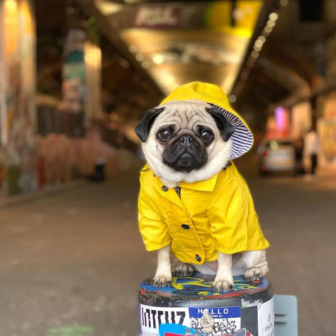 Waterproof Pet Dog Coat for Small Medium Large Dogs Windproof Jacket Dog Raincoat Dog Sport Hoodies Pet Clothes pink yellow