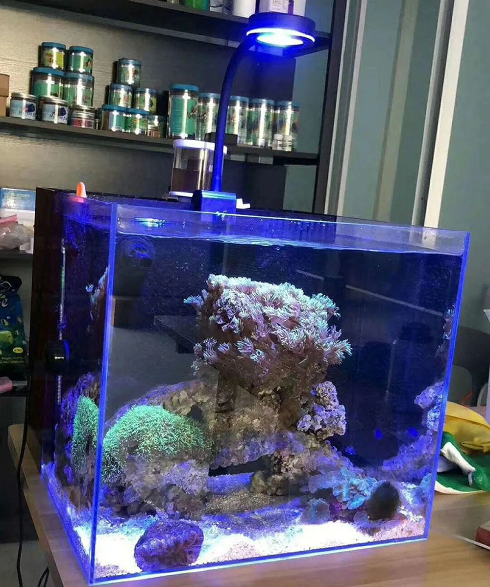 Marine Aquarium LED Light For 30~50CM Marine Reef Tank For Coral LPS 100~240V