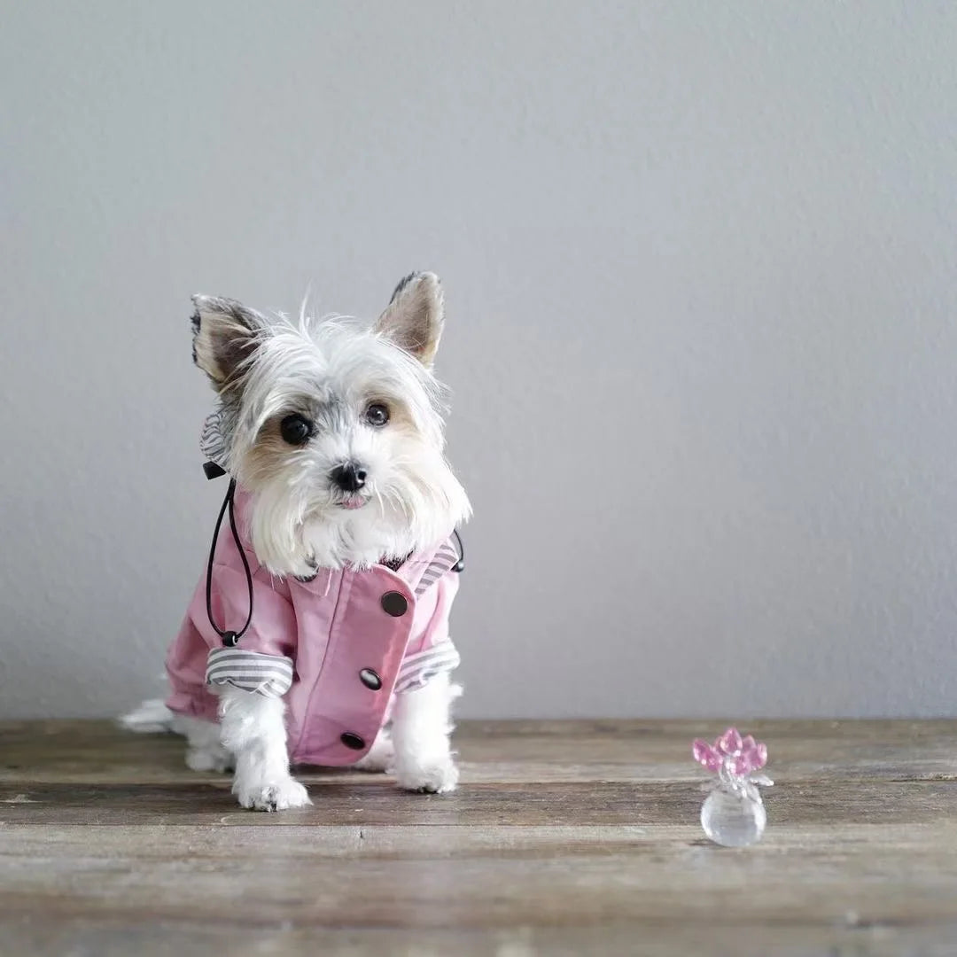 Waterproof Pet Dog Coat for Small Medium Large Dogs Windproof Jacket Dog Raincoat Dog Sport Hoodies Pet Clothes pink yellow