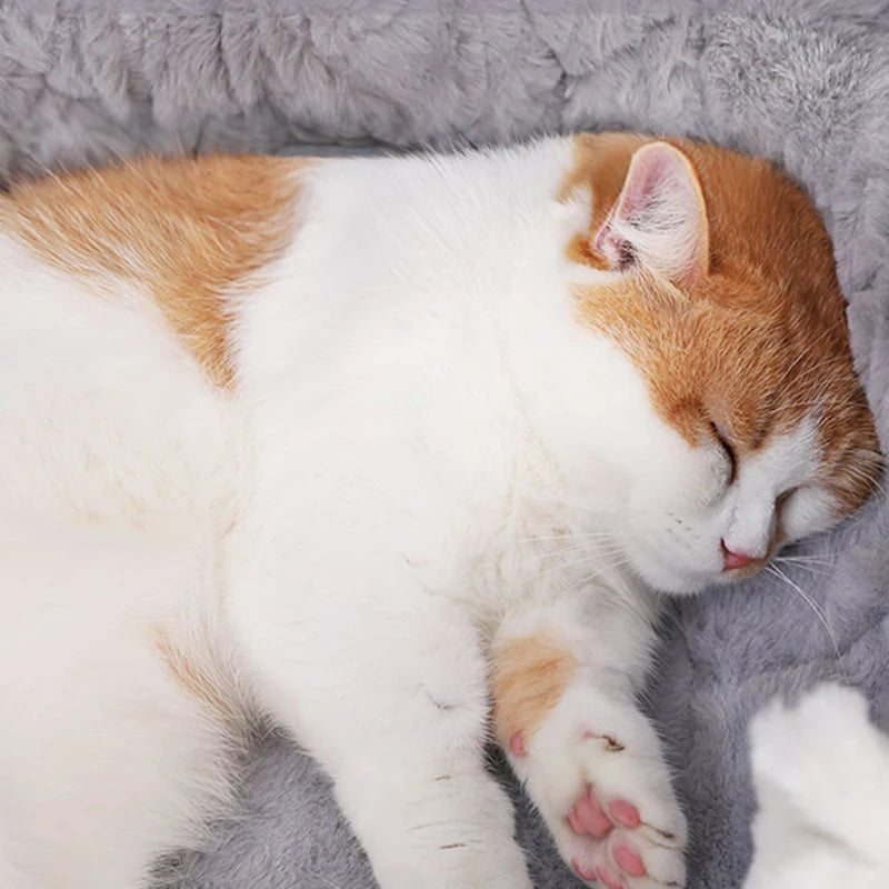 HOOPET Cat Bed House Soft Plush Kennel Puppy Cushion Small Dogs Cats Nest Winter Warm Sleeping Pet Dog Bed Pet Mat Supplies - Play Paws Toys