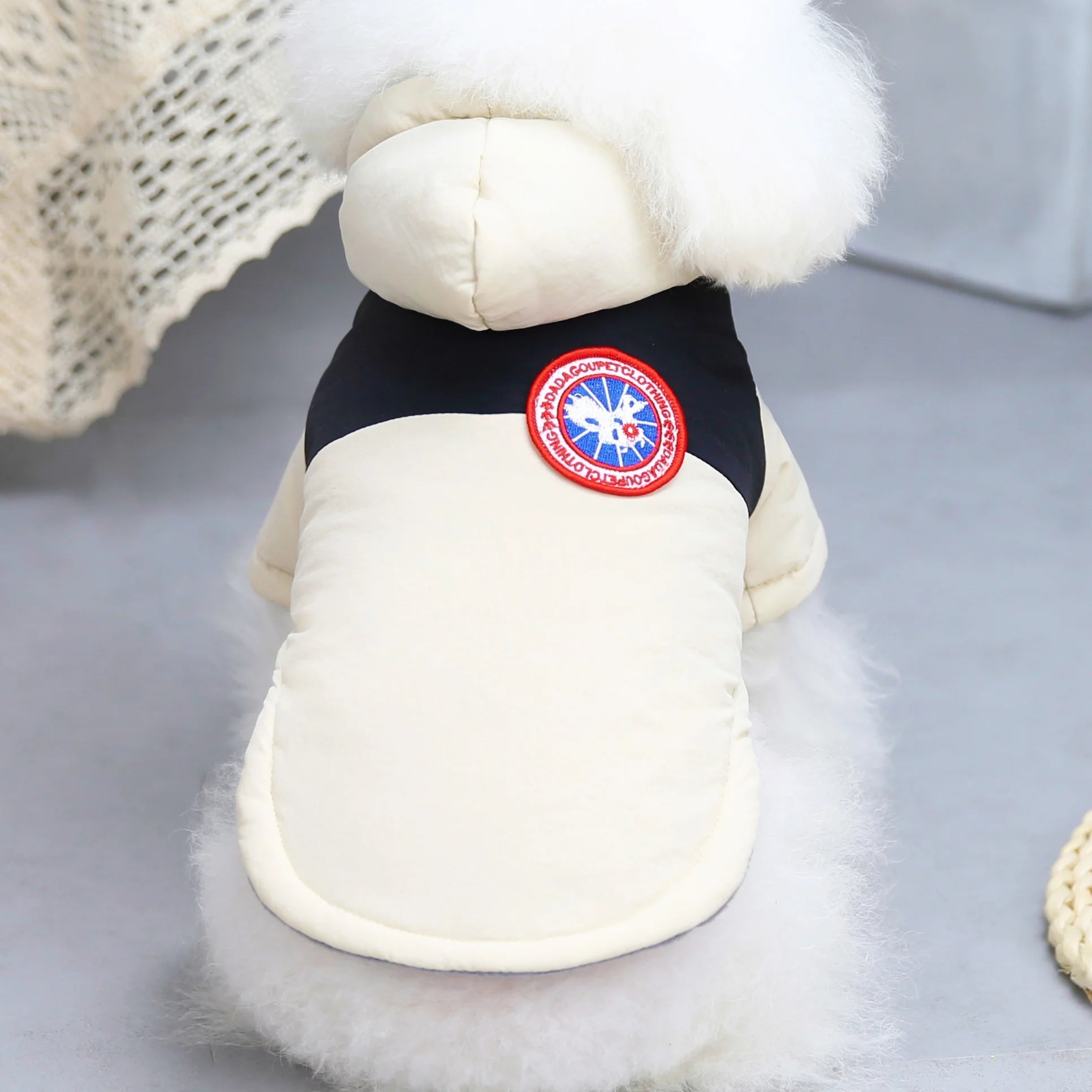Pet Cats Dog Clothes Winter Warm Down Jacket For Small Dogs Cotton Chihuahua Hooded Clothes Dog Windproof Clothing Coat Apparel