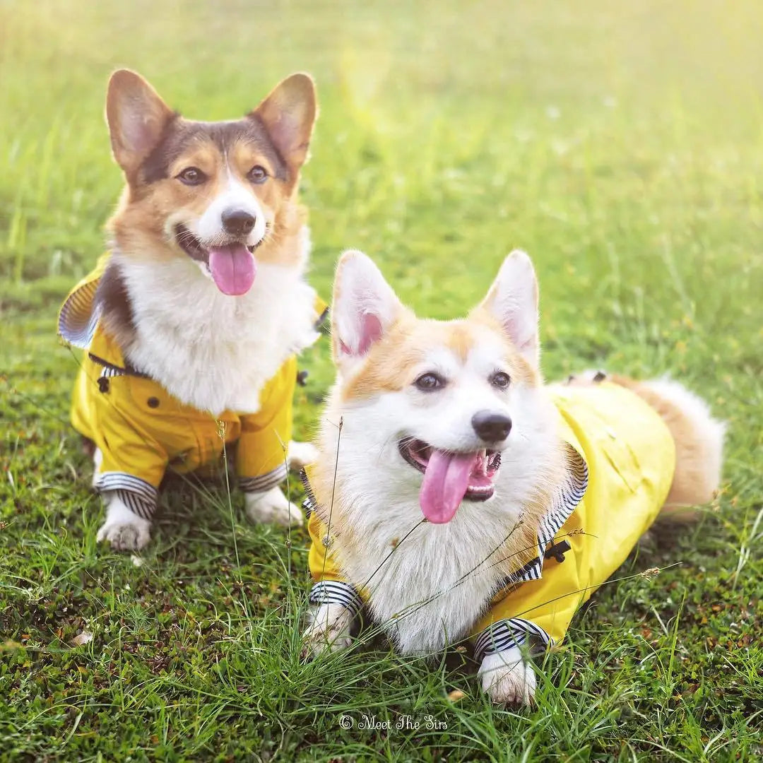 Waterproof Pet Dog Coat for Small Medium Large Dogs Windproof Jacket Dog Raincoat Dog Sport Hoodies Pet Clothes pink yellow