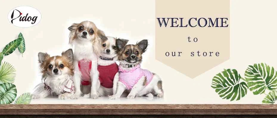Personalized Cat Collar Reflective Nylon Dog Cats ID Collars With Bell Free Engraving for Cats Small Dogs Chihuahua 10 Colors