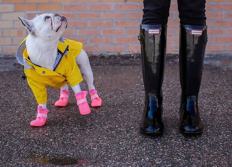 Waterproof Pet Dog Coat for Small Medium Large Dogs Windproof Jacket Dog Raincoat Dog Sport Hoodies Pet Clothes pink yellow