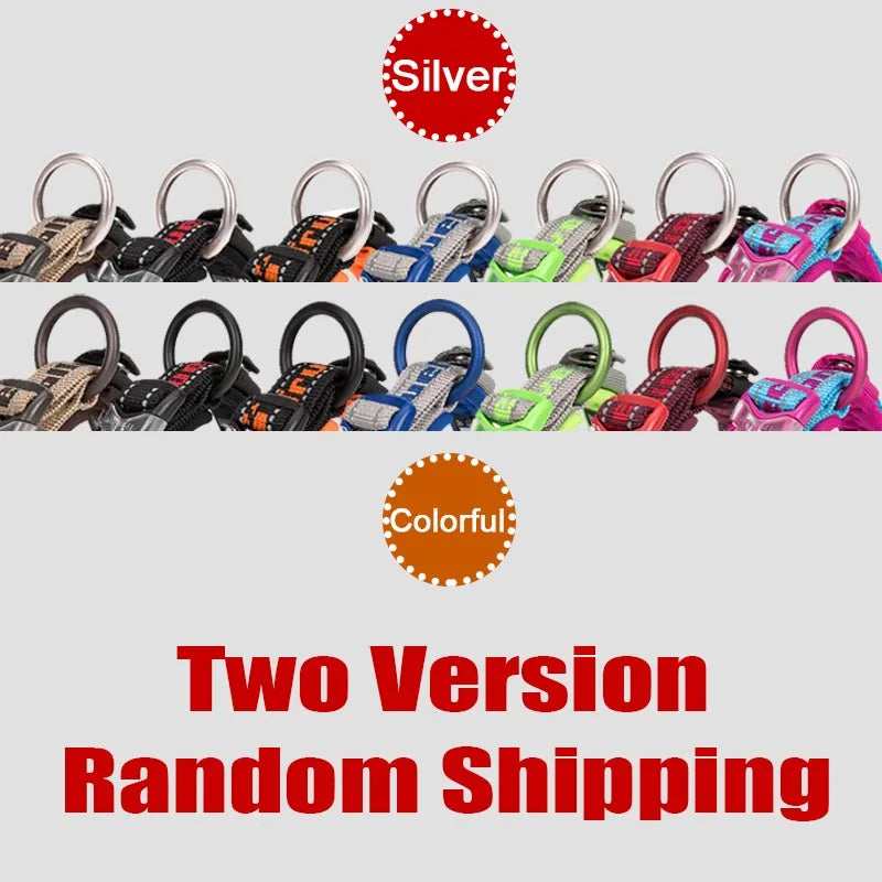 Truelove Embroider Neoprene Pet Dog Collar Nylon Adjustable Dog Collars For Big Small Dogs Running Reflective Chihuahua Bitpulls