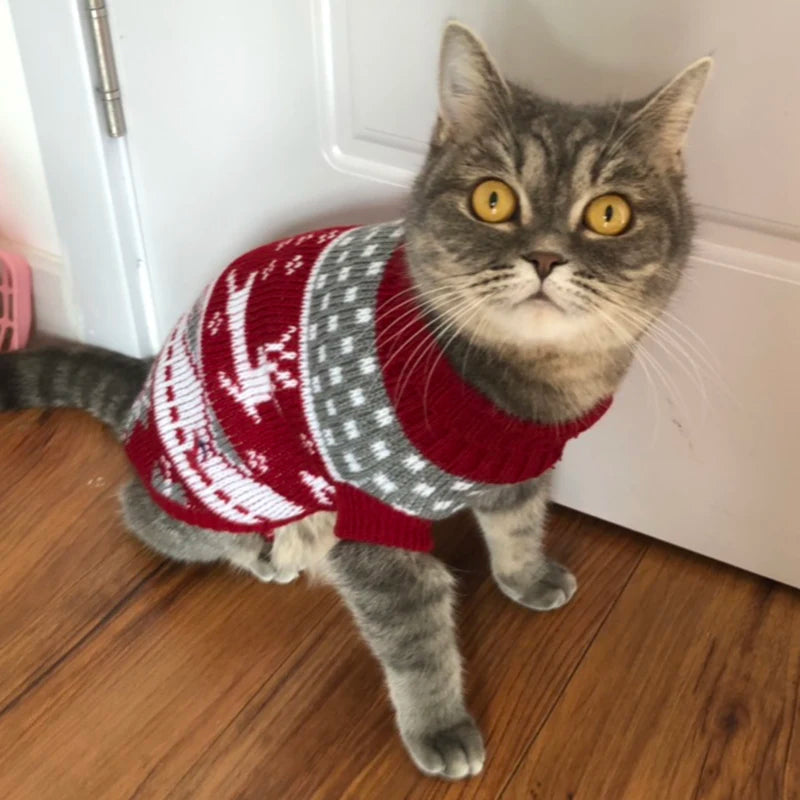 Cute Cat Sweater Costume Winter Warm Pet Clothes for Cats Katten Sphynx Pullover Mascotas Clothing Gatos Products for Animals - Play Paws Toys