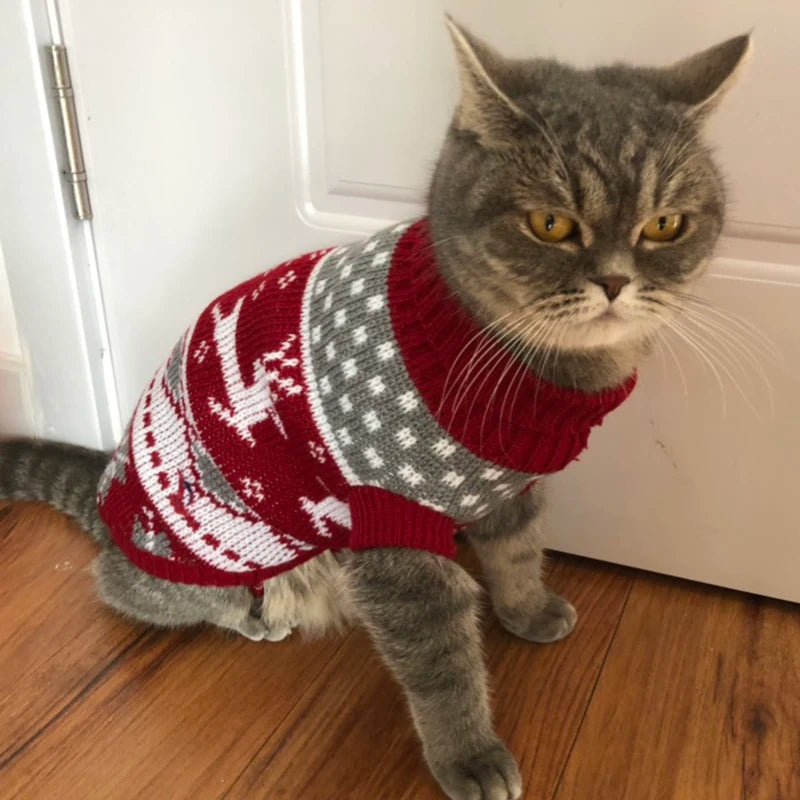 Cute Cat Sweater Costume Winter Warm Pet Clothes for Cats Katten Sphynx Pullover Mascotas Clothing Gatos Products for Animals - Play Paws Toys