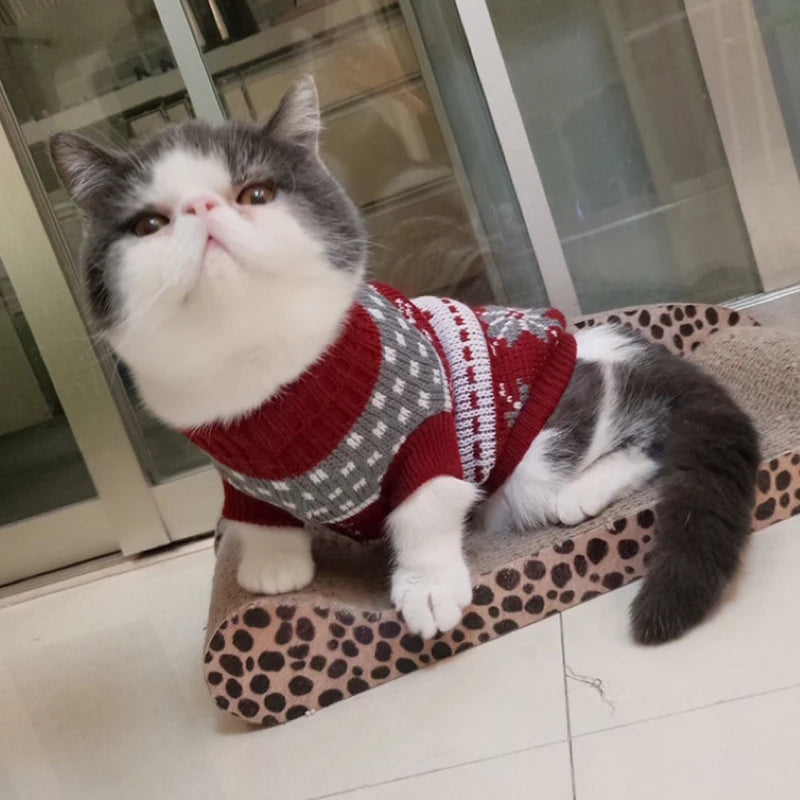 Cute Cat Sweater Costume Winter Warm Pet Clothes for Cats Katten Sphynx Pullover Mascotas Clothing Gatos Products for Animals - Play Paws Toys