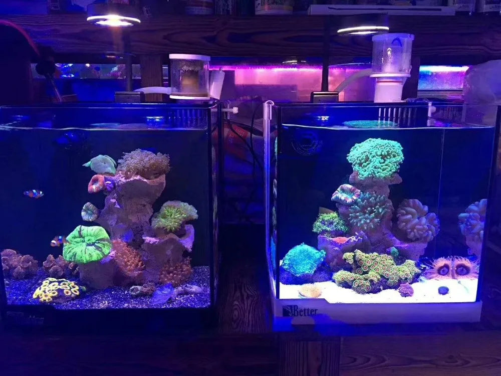 Marine Aquarium LED Light For 30~50CM Marine Reef Tank For Coral LPS 100~240V