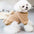 Pet Cats Dog Clothes Winter Warm Down Jacket For Small Dogs Cotton Chihuahua Hooded Clothes Dog Windproof Clothing Coat Apparel