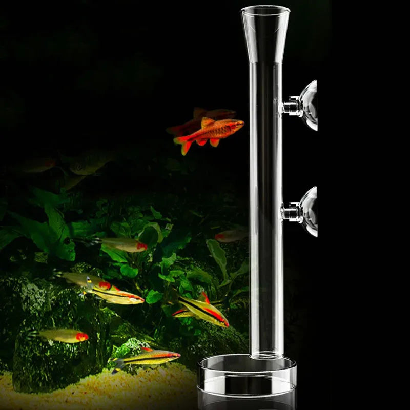 Glass Aquarium Feeder Tube Dish Transparent Fish Tank Shrimp Snail Food Feeder Bowl Aquarium Feeding Accessories Shrimp Feeding