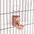 Automatic Pet Feeder Cage Hanging Bowl Water Bottle Food Container Dispenser For Puppy Cats Rabbit Birds Pet Feeding Product