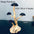 Aquarium Decoration Moss Driftwood Fish Tank Landscaping Water Grass Moss Tree Trunk DIY (No Aquatic Plants)