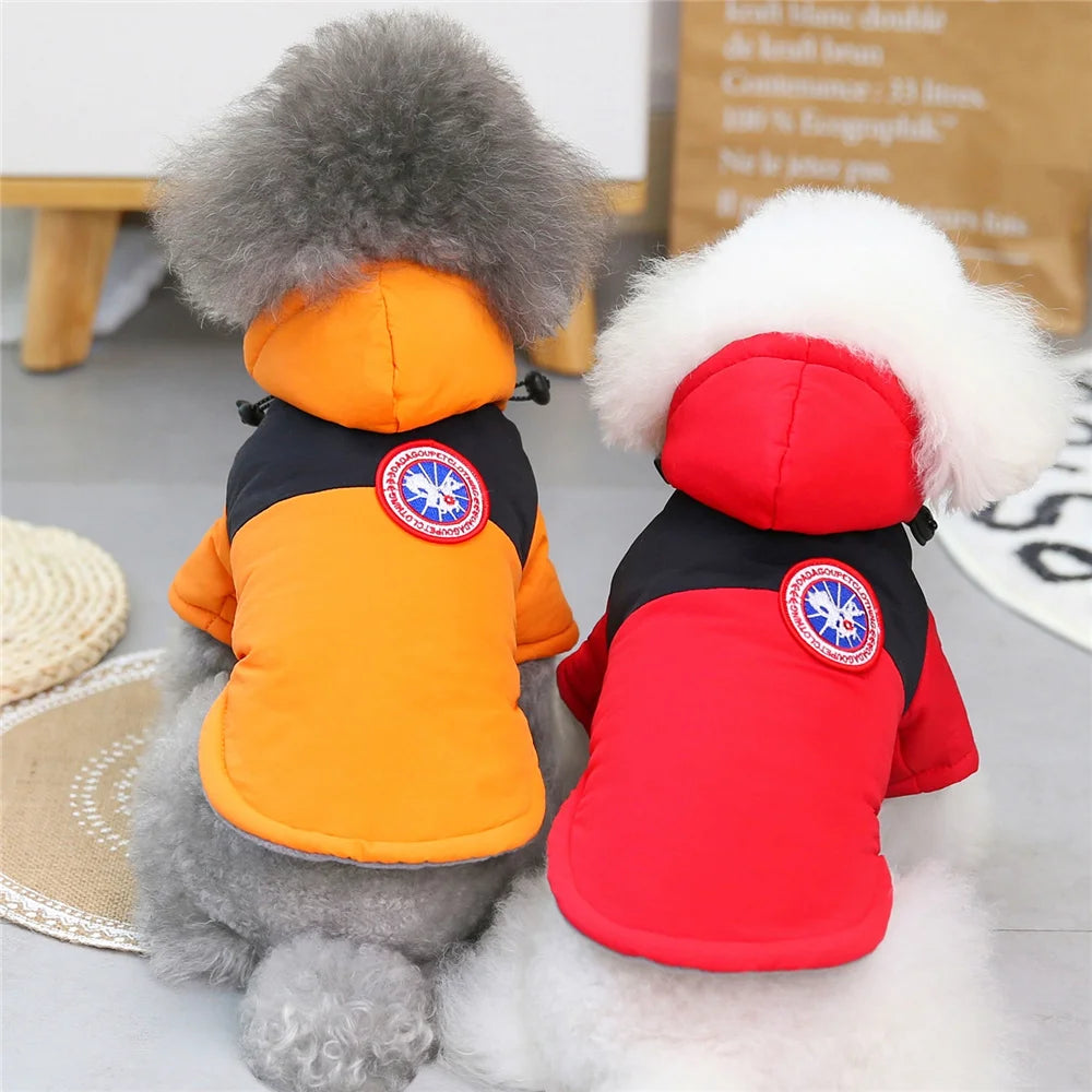 Pet Cats Dog Clothes Winter Warm Down Jacket For Small Dogs Cotton Chihuahua Hooded Clothes Dog Windproof Clothing Coat Apparel