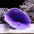 Resin Coral Reef Aquarium Ornaments Fish Tank Decor Resin Coral Home Tank Decor