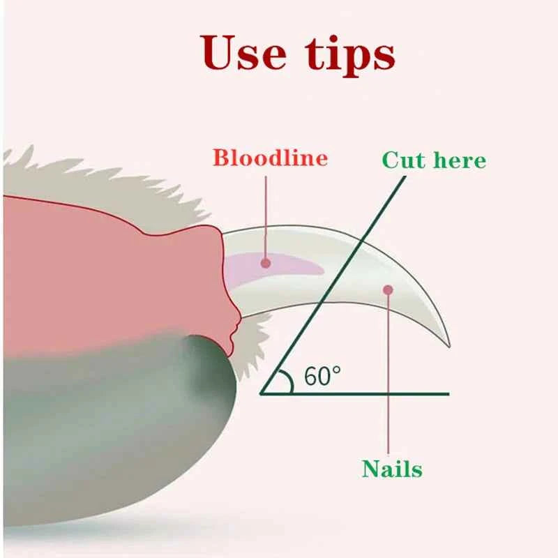 Professional Pet Nail Clipper LED Light Pet Nail Clipper Claw Grooming Scissors for Cats Small Dogs Scissors Cat  Accessories