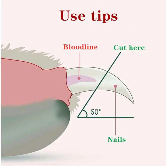 Professional Pet Nail Clipper LED Light Pet Nail Clipper Claw Grooming Scissors for Cats Small Dogs Scissors Cat  Accessories