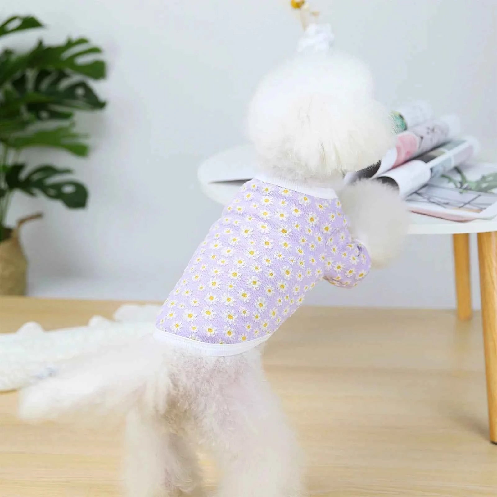 Cute Dog Shirts for Small Dogs Pet Cotton Soft Warm Breathable Stylish Cute Pet Clothes Dog Button Up T Shirts