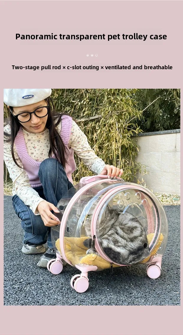 Transparent Pet Travel Carrier Portable Trolley Suitcase for Cats & Small Dogs Durable Pet Transport Case Professional Pet Cart - Play Paws Toys