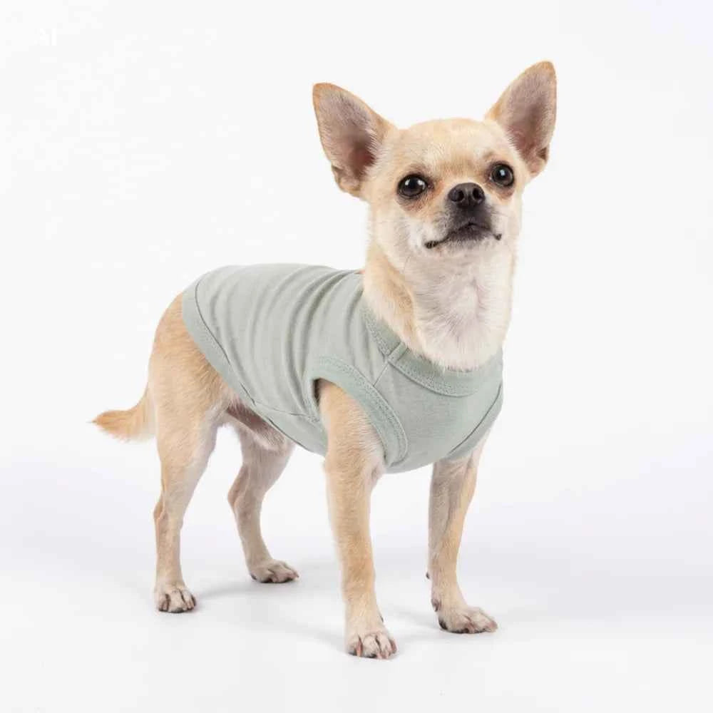 Soft Cotton Blank Dog Shirt, Breathable Spring Summer Pet Apparel, Lightweight Plain Dog T Shirt for Small to Large Dogs