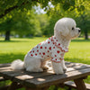 Ruffle Trim Heart Print Dog Clothes for Small Dogs, Soft Summer Puppy Shirt for Teddy Bichon, Cute Pet for Daily Walking Party