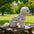 Ruffle Trim Heart Print Dog Clothes for Small Dogs, Soft Summer Puppy Shirt for Teddy Bichon, Cute Pet for Daily Walking Party