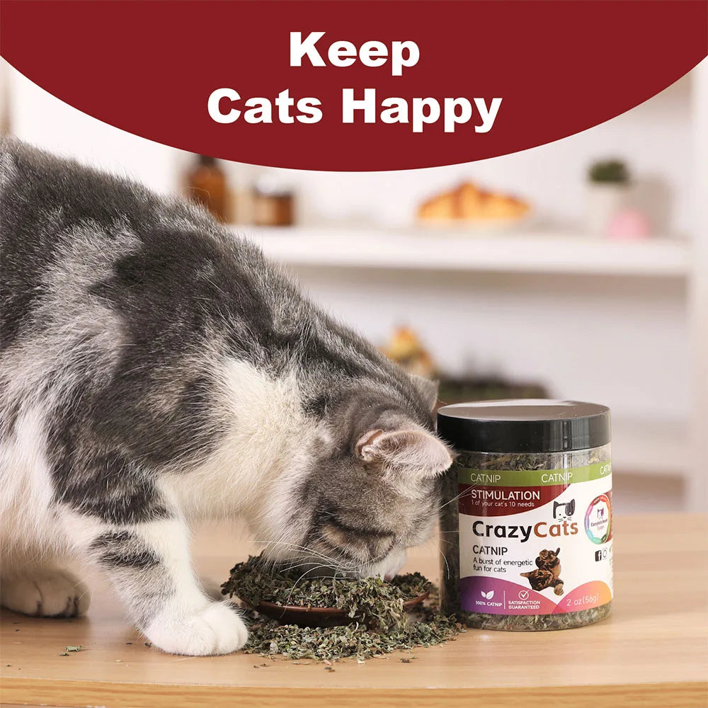 Organic 100% Natural High Quality Catnip Cattle Grass Mint Taste Funny Cat Toy New Cat Toy Interactive Cat Toys Pet Supplies