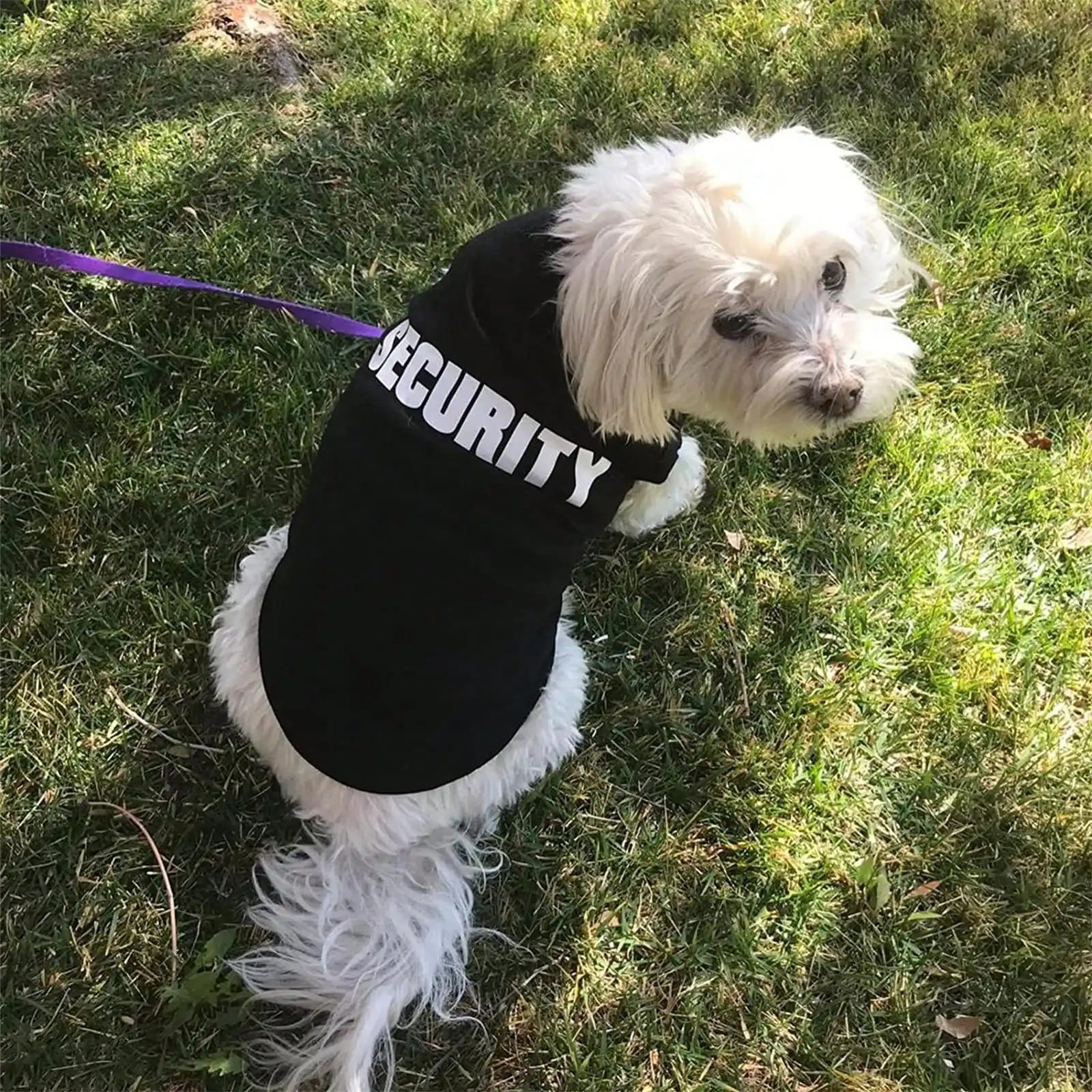 1 Pcs Dog and cat clothes breathable cute letter print thin cartoon pet sleeveless top