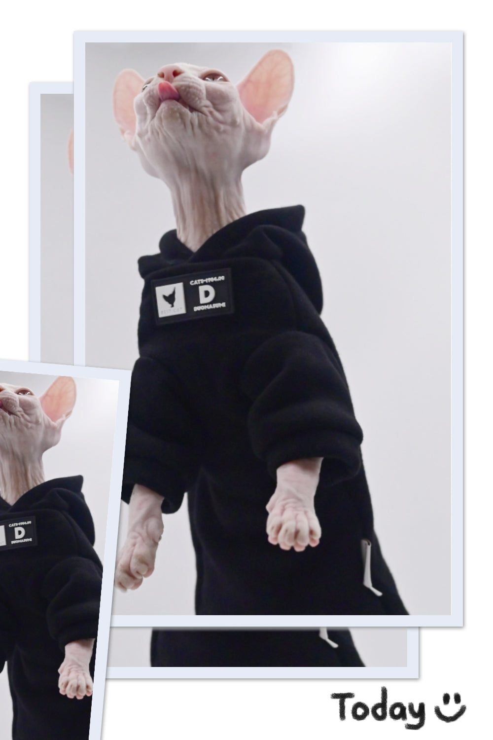 DUOMASUMI Cat Hoodie for Hairless Breeds - Fashion Spring/Fall Pullover for Sphynx, Devon Rex, Cornish Rex& Abyssinian Cats - Play Paws Toys