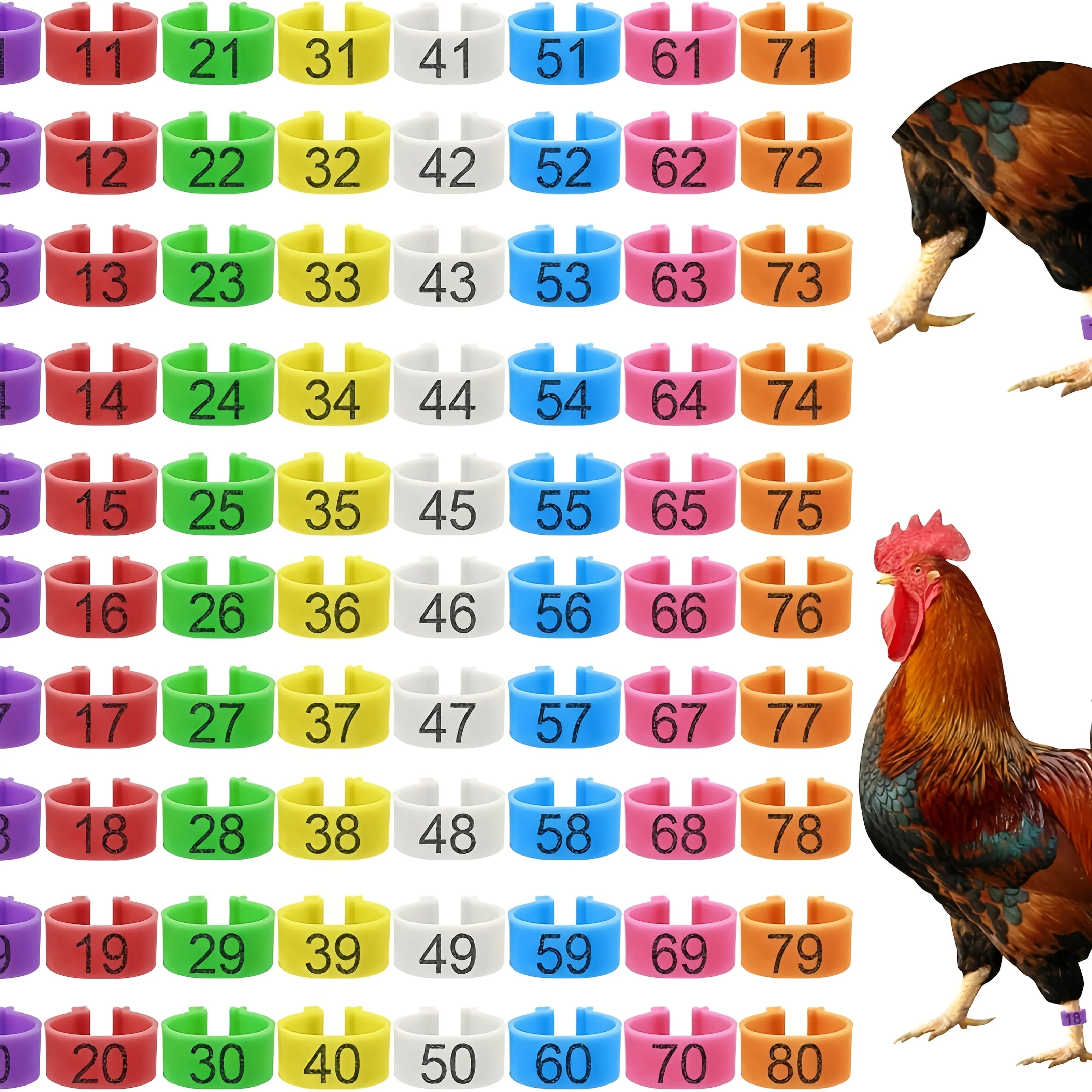 Numbered Farm Tag Leg Bands for Chickens & Ducks