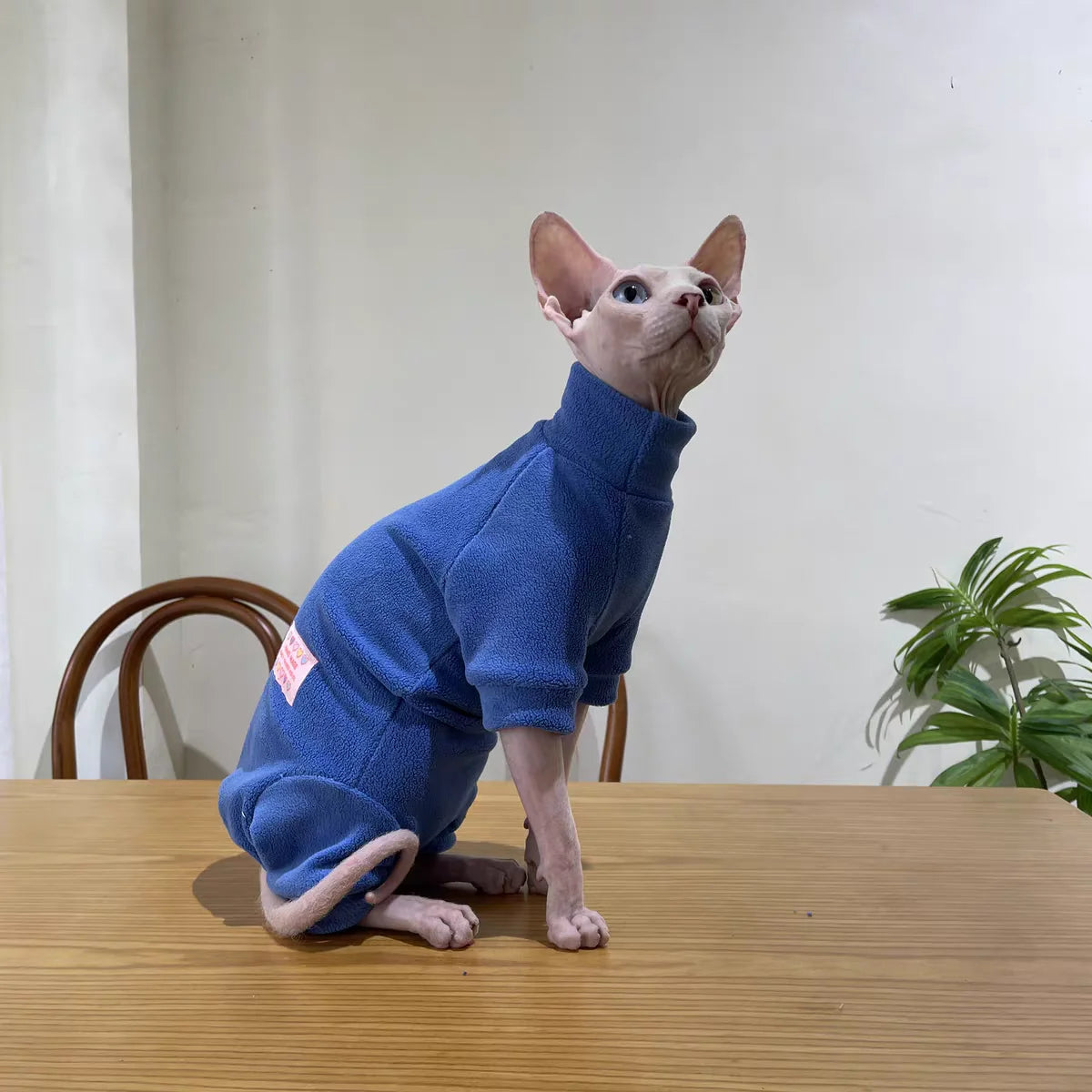Fleece Coat for Sphynx Cat Warm Sweatshirt 4-legged Jumpsuit for Kittens Dogs soft Loungewear for Male Cat Devon Rex Sweater - Play Paws Toys