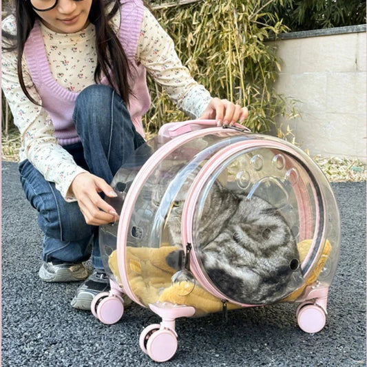 Transparent Pet Travel Carrier Portable Trolley Suitcase for Cats & Small Dogs Durable Pet Transport Case Professional Pet Cart - Play Paws Toys