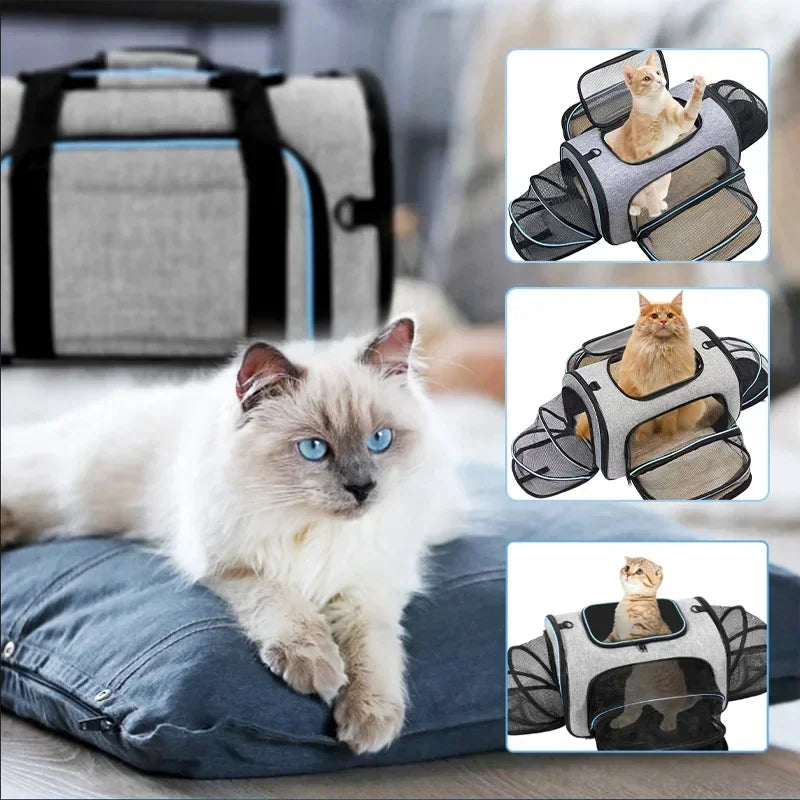 Portable Cat Backpack Carrier Foldable Expandable Pet Travel Bag Airline Approved Breathable Pet Carrier for Dog Pet Accessories - Play Paws Toys