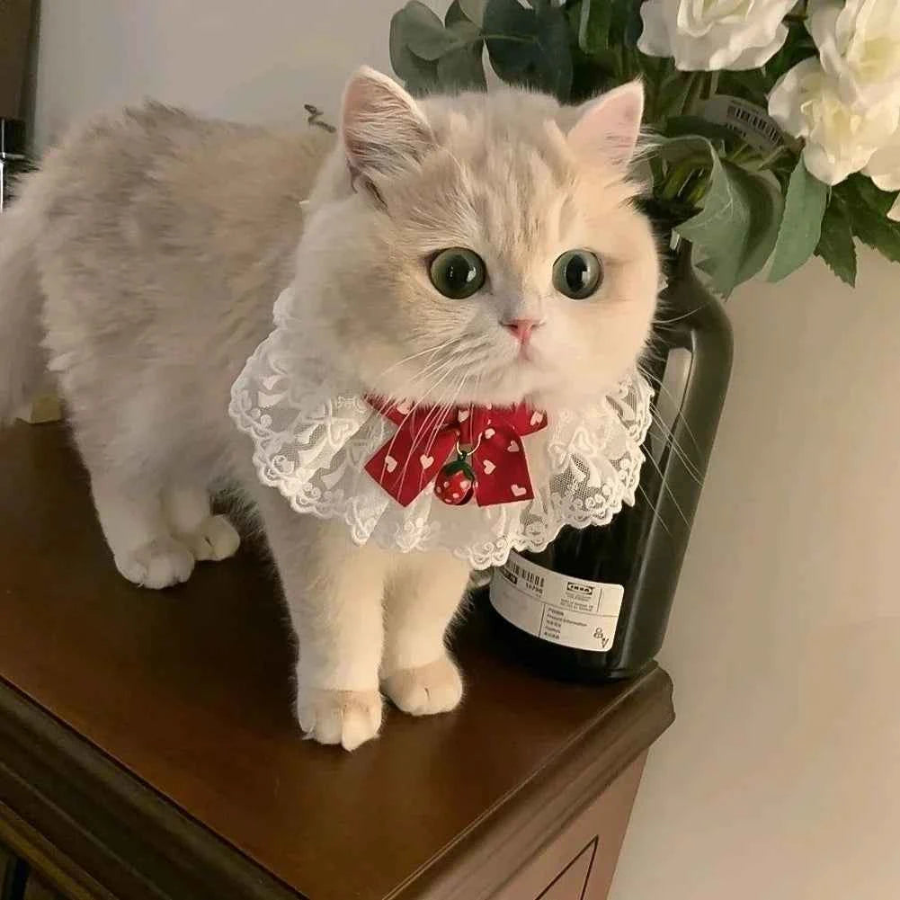 Cute Dog Collar Lace Bowknot Pearl Cat Necklace Sweet Neck Decoration Elegant Gentle Puppy Necktie Kitten Bibs Pet Supplies