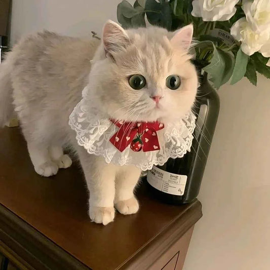Cute Dog Collar Lace Bowknot Pearl Cat Necklace Sweet Neck Decoration Elegant Gentle Puppy Necktie Kitten Bibs Pet Supplies