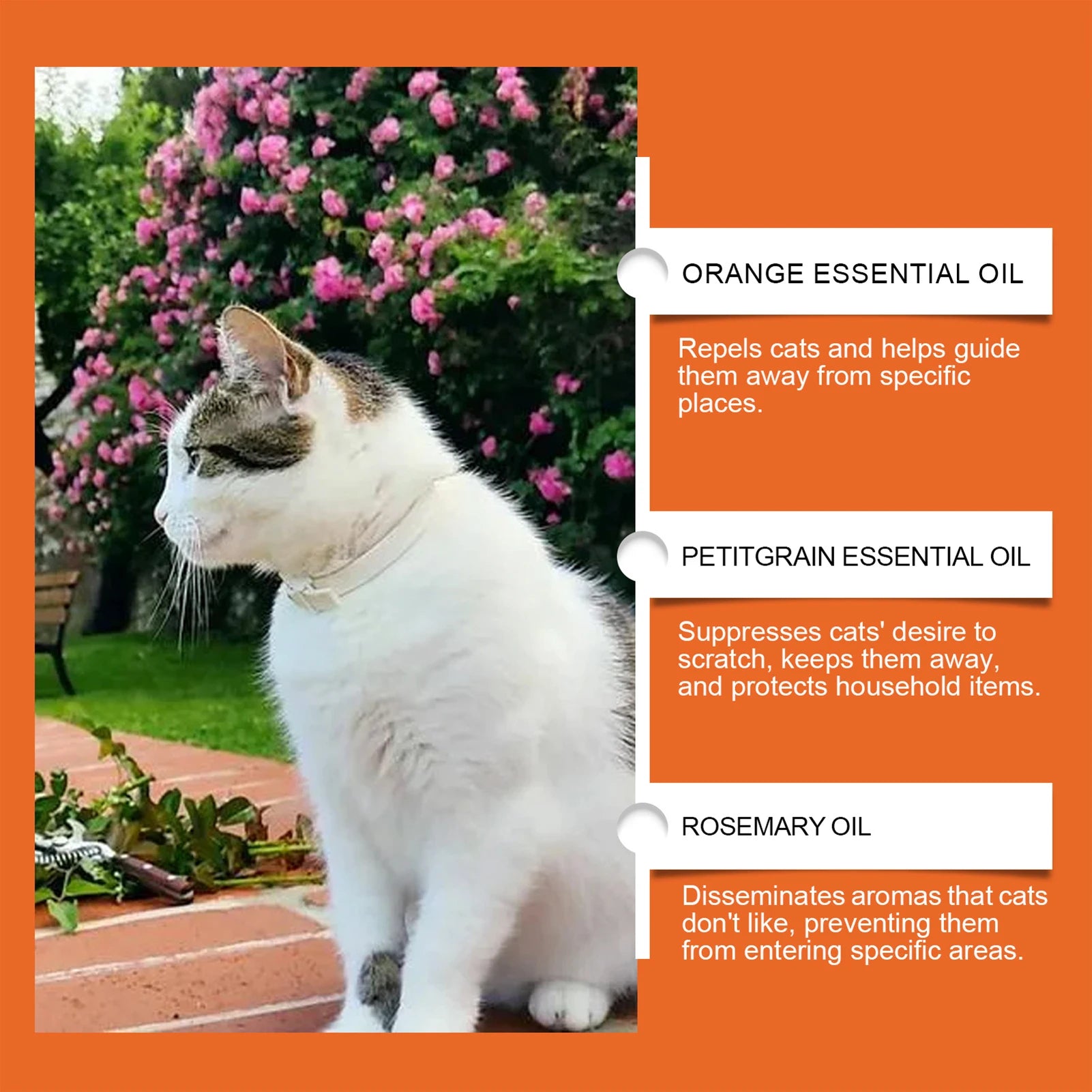 100ml Cat Scratch Deterrent Spray Cat Scratch Furniture Protector Spray Training Pet Training Liquid For Protecting Furniture